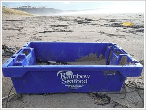 Blue plastic fisherman's crate with white writing washed up as flotsam