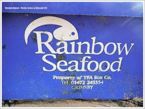 Detail of blue plastic fisherman's crate with white writing washed up as flotsam