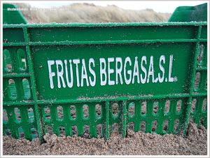 Green plastic crate rubbish on beach