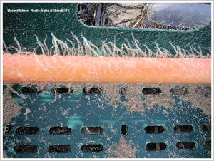Green plastic crate rubbish on beach with orange handles and attached hydroids