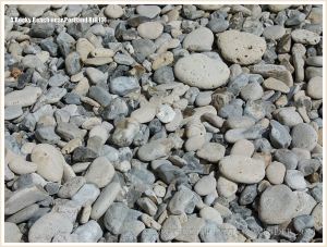 Pebbles on the beach, including many with holes made by marine invertebrates.