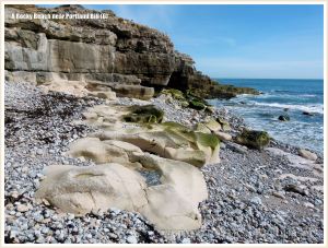 Wave-worn limestone outcrops among pebbles on the beach