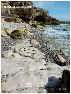 Smooth limestone outcropping amongst pebbles low on the seashore.