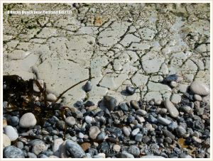 Limestone outcrop on beach showing network pattern of furrows.