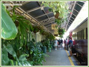 View of the railway station at Kuranda