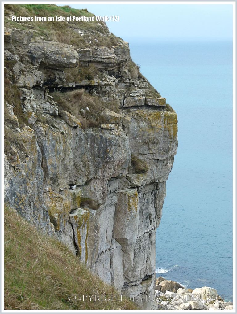 View from the cliff-top coastal path on the west coast of the Isle of Portland