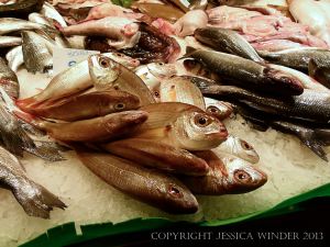 Seafood displayed on a Spanish market stall