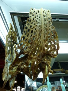 Seafood displayed on a Spanish market stall