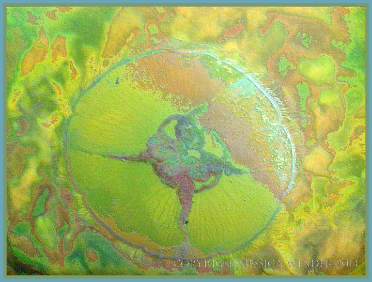 Swimming Moon Jellyfish