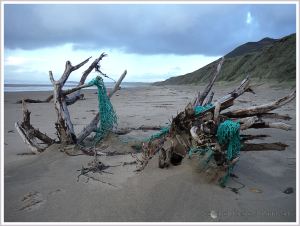 Green fishing net of driftwood