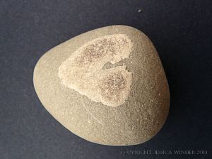 Beach stone with a pattern