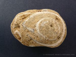 Beach stone with a pattern