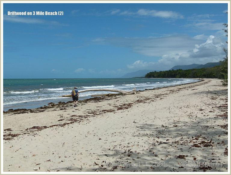 Three Mile Beach at Port Douglas in Queensland, Australia