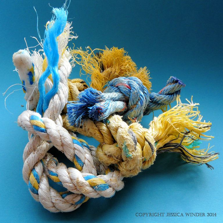 Short pieces of knotted rope found on the seashore