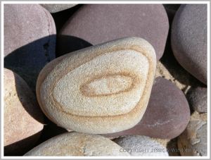 Pebble with a natural pattern photographed where it was found on the beach