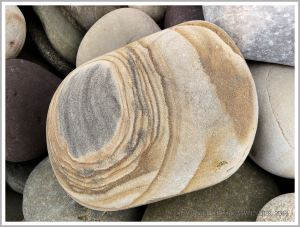 Pebble with a natural pattern photographed where it was found on the beach