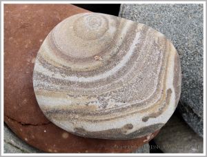 Pebble with a natural pattern photographed where it was found on the beach