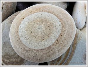 Pebble with a natural pattern photographed where it was found on the beach