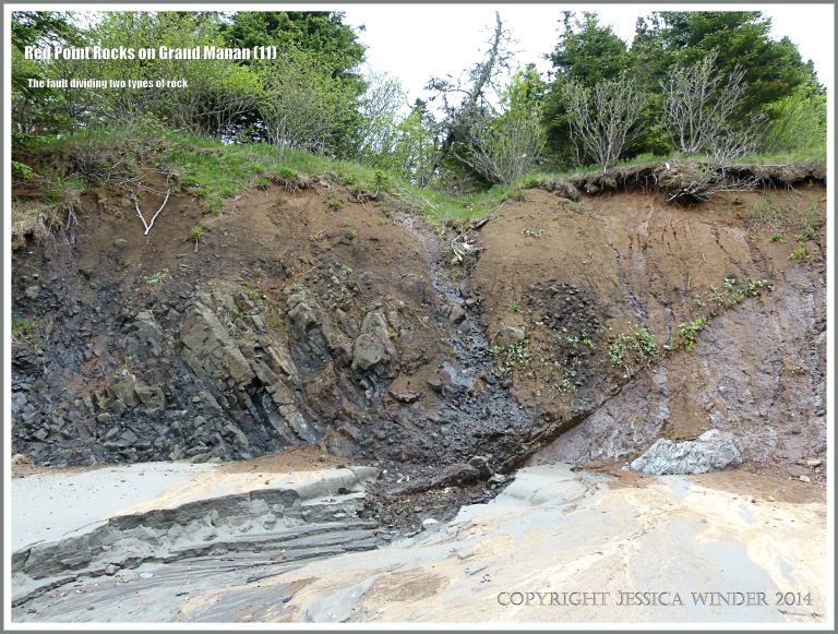 The geological fault between basalt on the left and meta-siltstone on the right  at Red Point on Grand Manan Island.