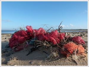 Red and orange nets and bags washed up as flotsam