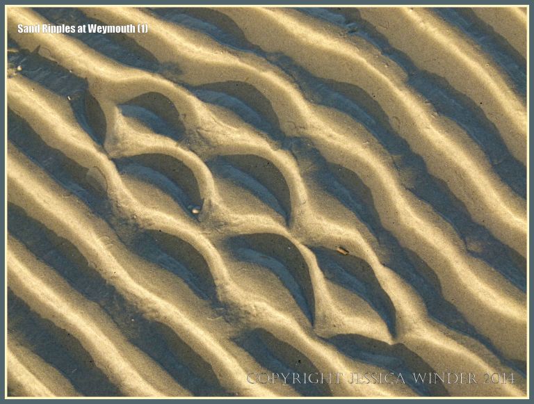 Seashore sand ripple patterns