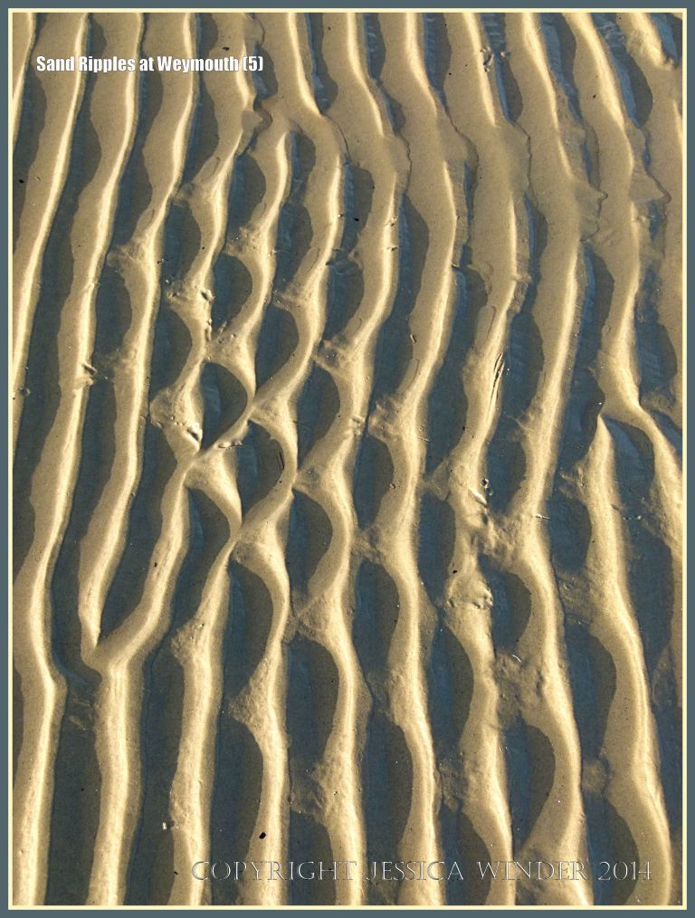Seashore sand ripple patterns