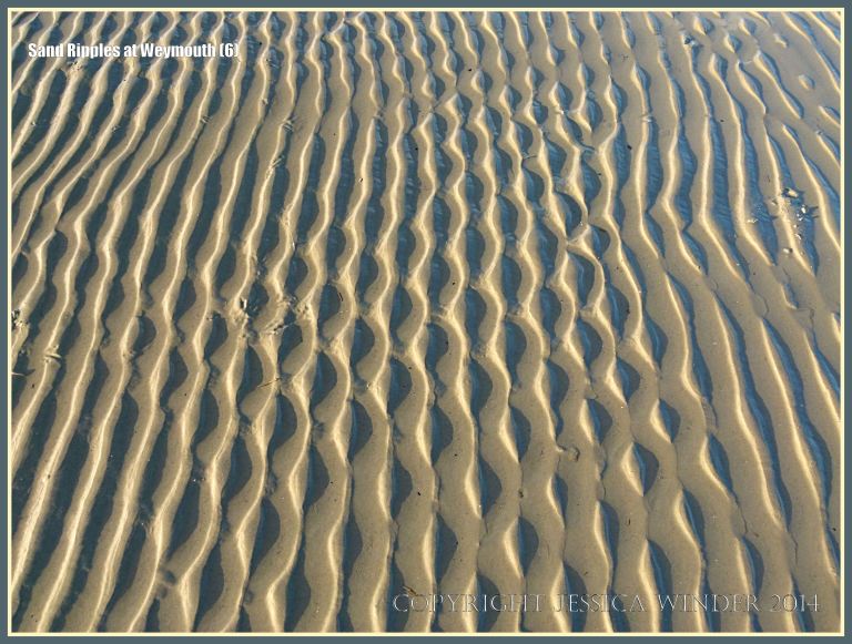 Seashore sand ripple patterns