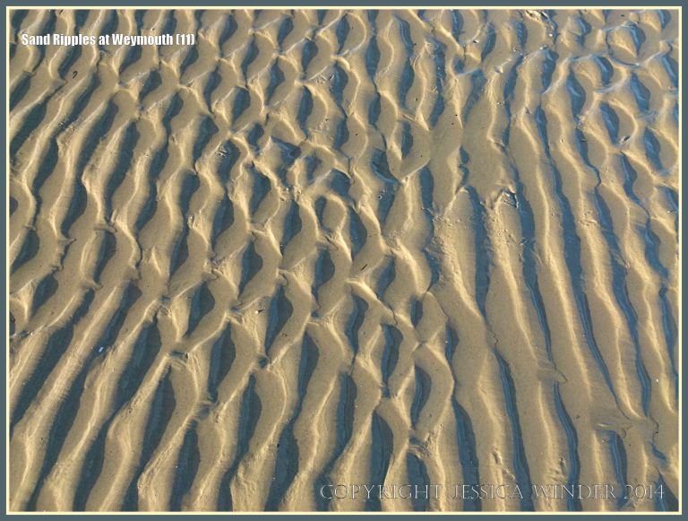 Seashore sand ripple patterns