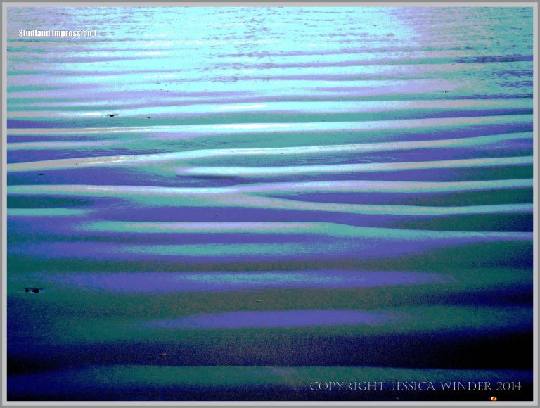 sand ripples on the seashore