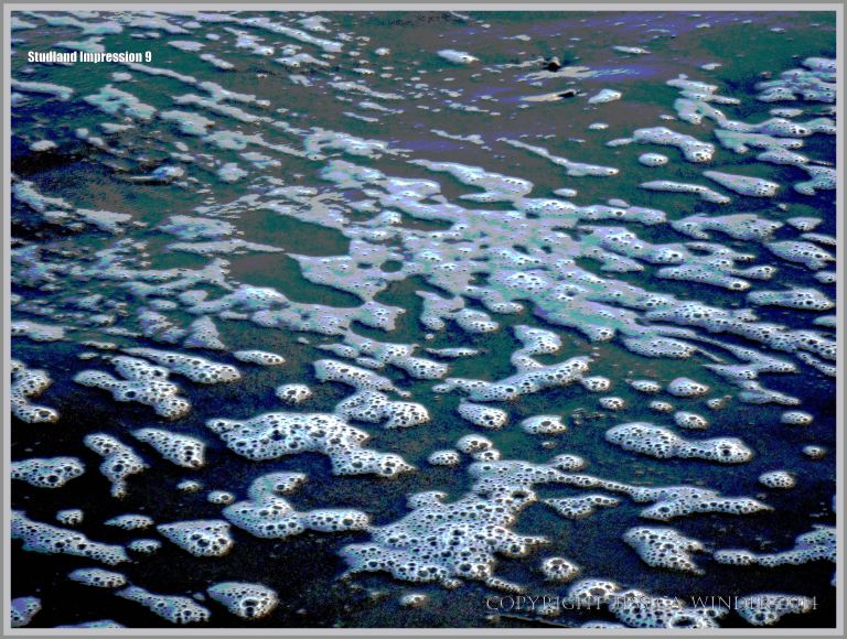 seafoam on wet sand at the beach