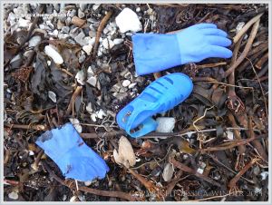 Blue plastic flotsam shoes and gloves on pebbles and seaweed
