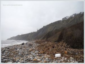 Driftwood storm debris on a shingle beach in Dorset