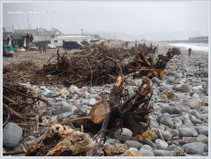 Driftwood storm debris on a shingle beach in Dorset