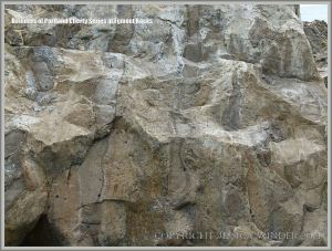 Beach boulder of Portland Cherty Series close-up.