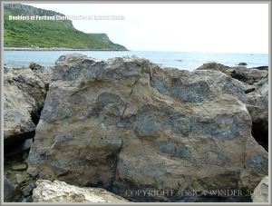 Beach boulder of Portland Cherty Series
