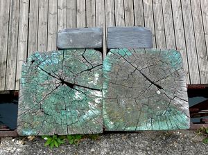 Cross-section through weathered timber posts