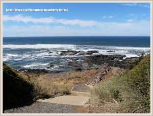 Path to Strawberry Hill Beach