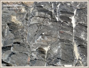 Extruded basalt rock on the Oregon Coast