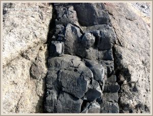 Extruded basalt rock on the Oregon Coast