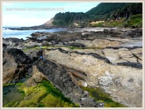 Near-parallel lines of dikes, with dark uniformly-textured basalt, cutting through softer fragmental basalt on the Oregon Coast