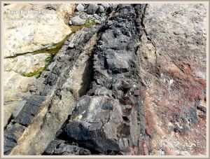 Extruded basalt rock on the Oregon Coast