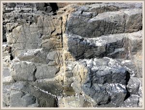 Extruded basalt rock on the Oregon Coast
