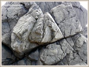 Extruded basalt rock on the Oregon Coast