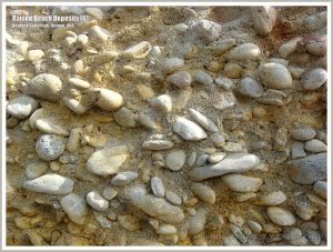 Close-up of the pebble conglomerate in the sea cliff of raised beach deposits at Neptune State Park in Oregon, USA