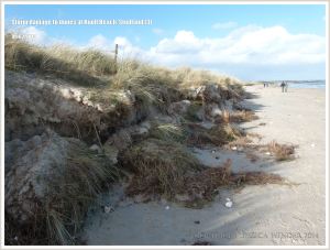 Storm damage to sand dunes