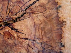 Close-up detail of natural pattern in sawn beech wood