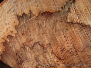 Close-up detail of natural pattern in sawn beech wood