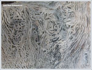 Close-up detail of woodgrain pattern and texture on driftwood