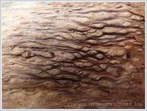 Close-up detail of woodgrain pattern and texture on driftwood