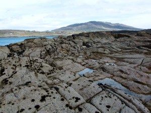 Glaciated granite bedrock on the shore near Dogs Bay